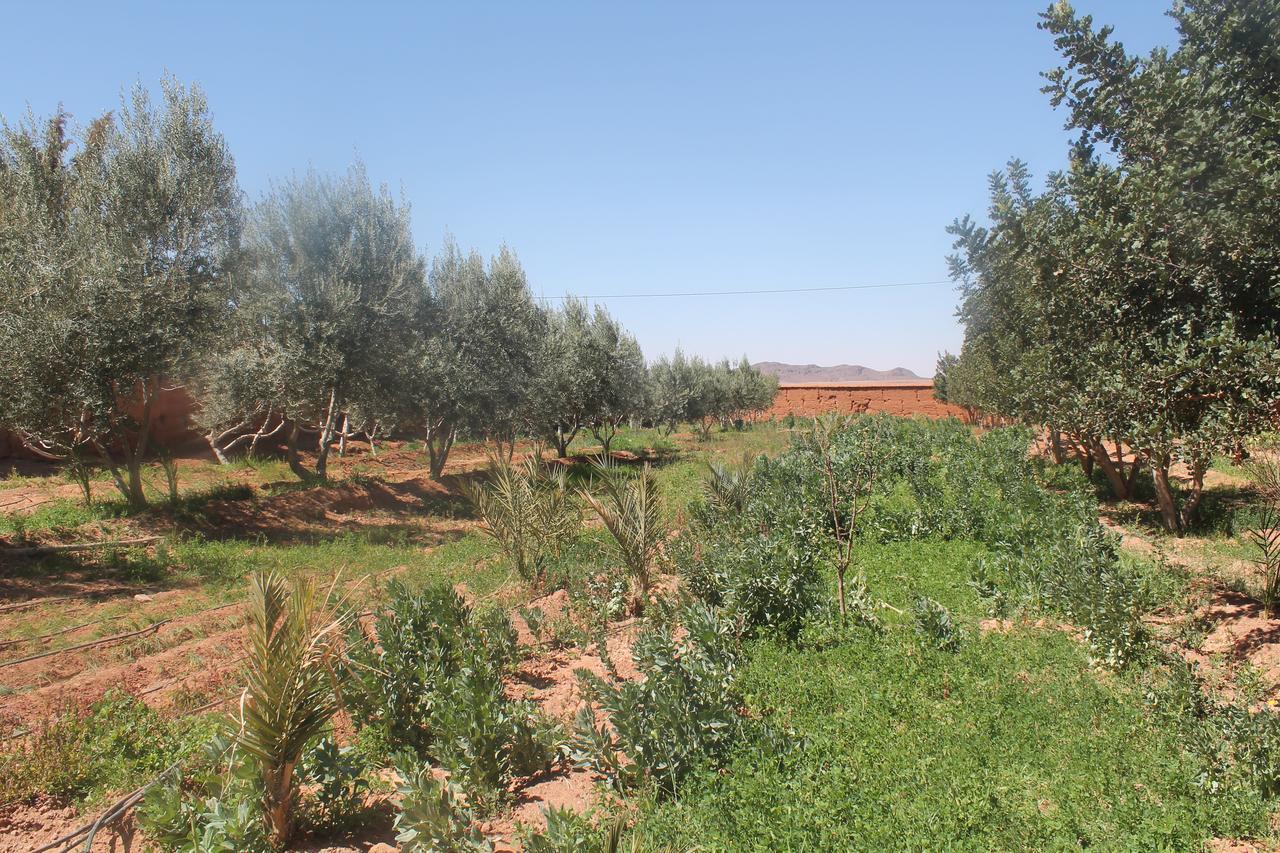 Dar Alfourssane Ferme D'Hote ورزازات المظهر الخارجي الصورة