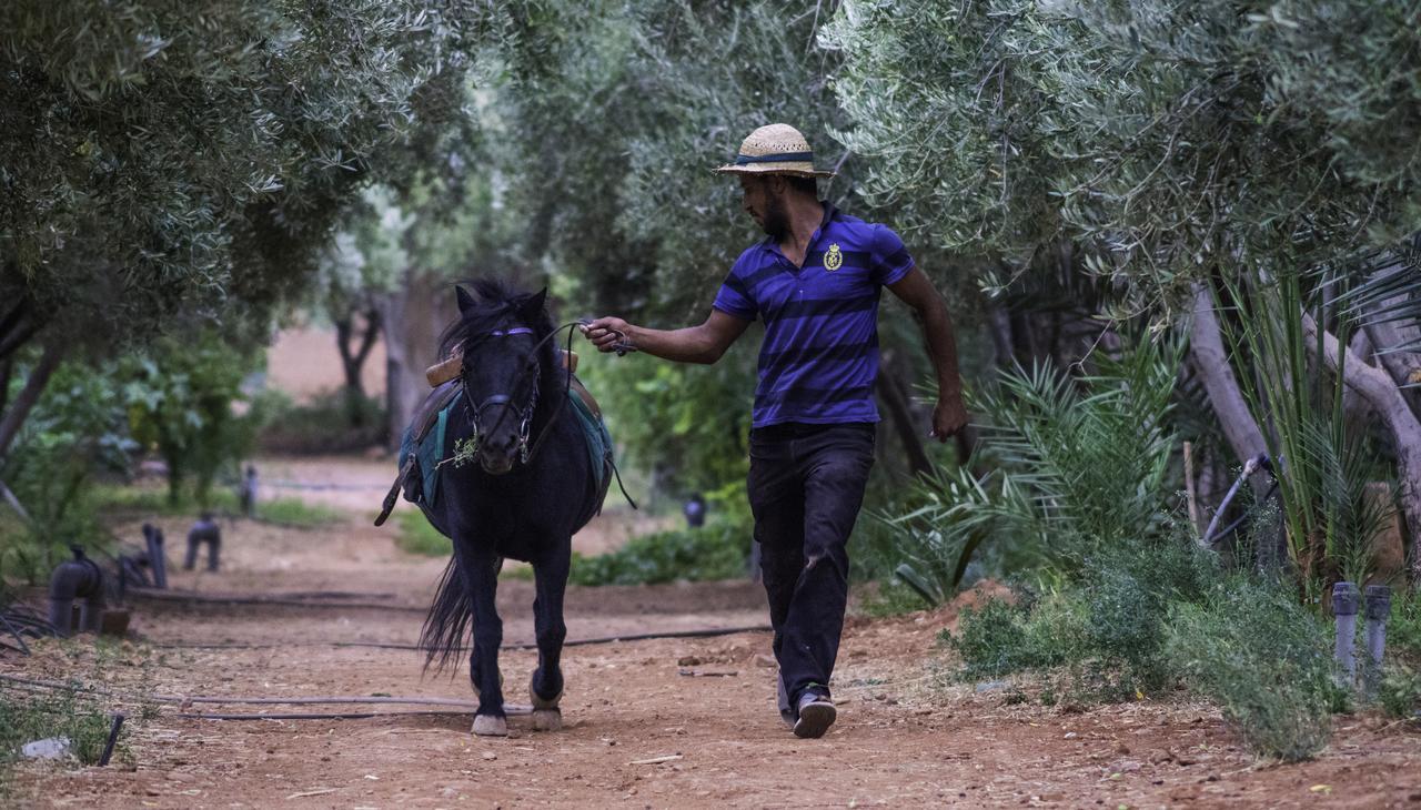 Dar Alfourssane Ferme D'Hote ورزازات المظهر الخارجي الصورة