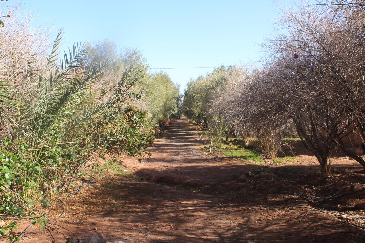 Dar Alfourssane Ferme D'Hote ورزازات المظهر الخارجي الصورة